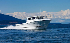 shop ocean sport boats for sale